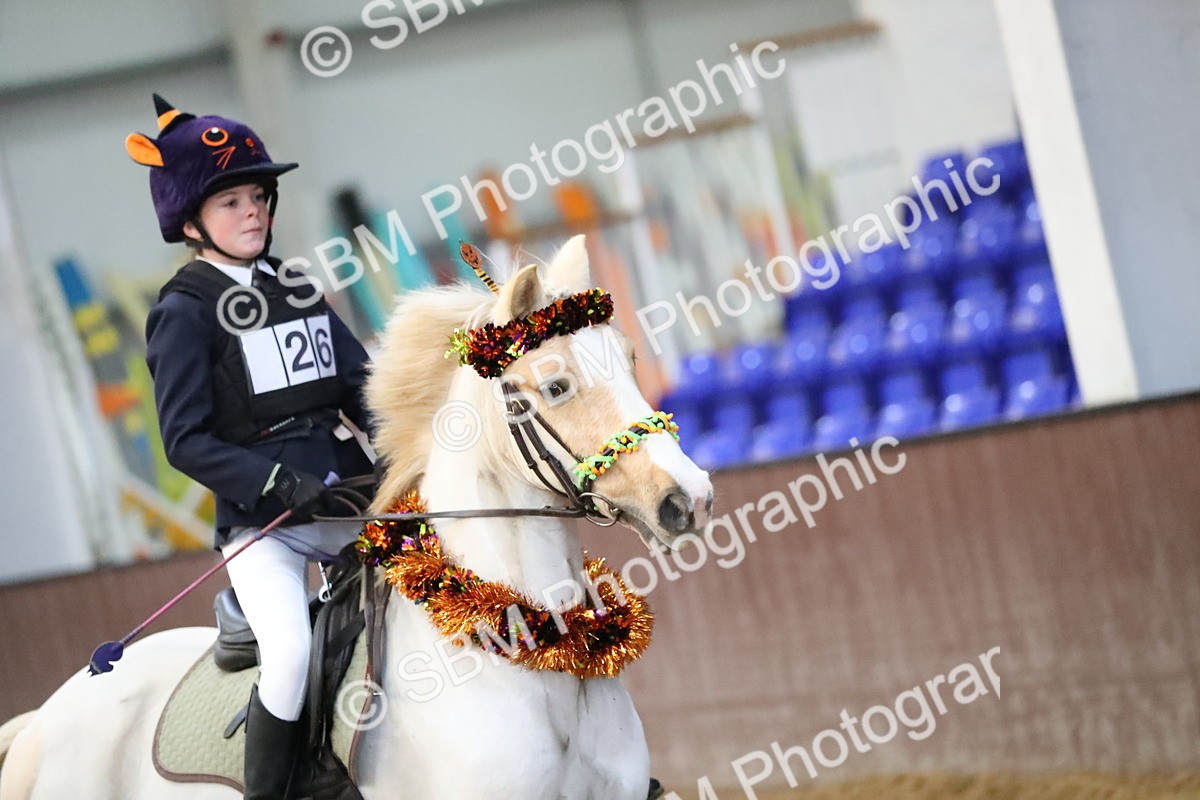 SBM_000134 - Class 1 - Show Jumping 50cm