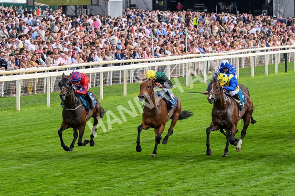 260725-Race 7-Chesneys Charm-0901 - Race 7 5.00pm Sky Bet Extra Places Every Day Handicap
