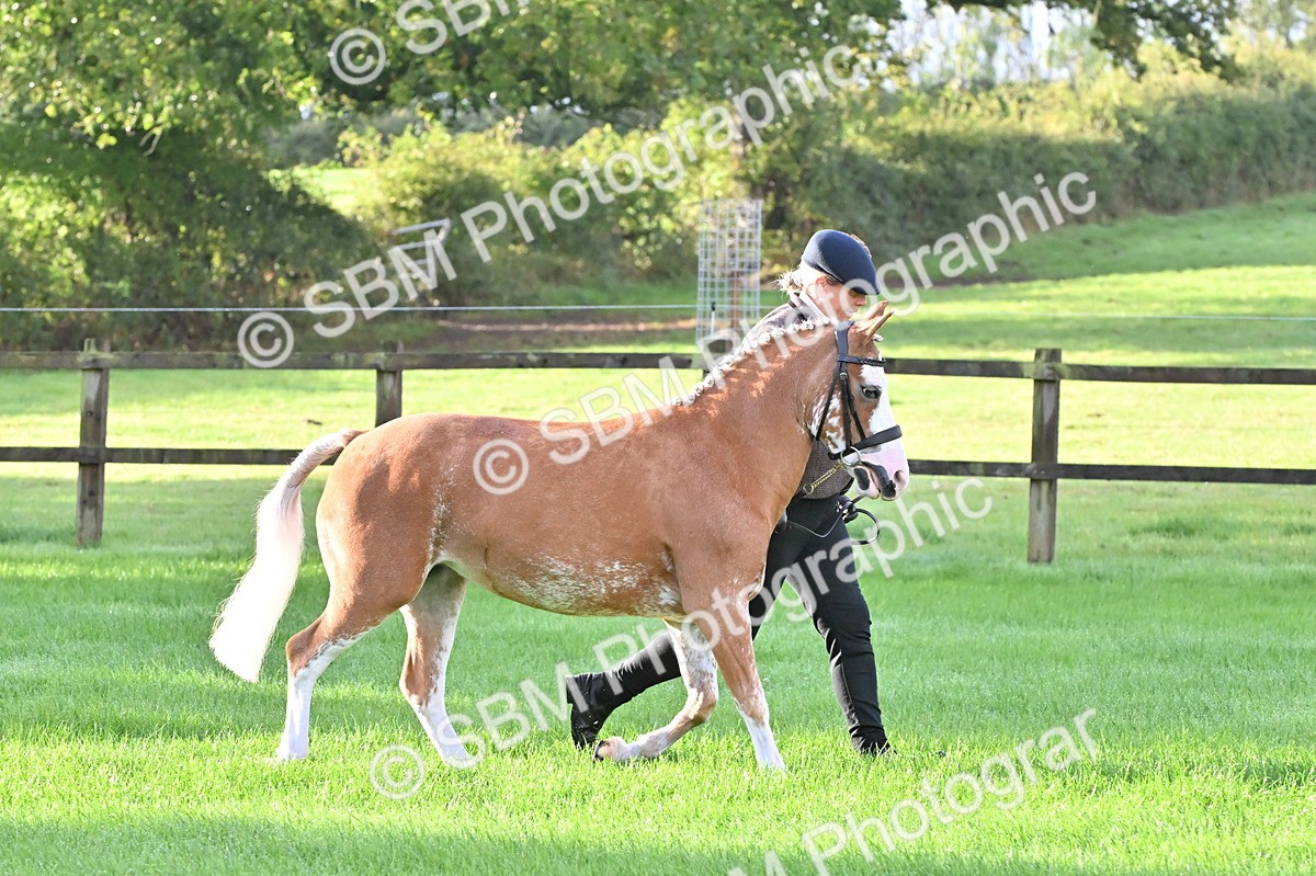 SBM_32596 - S15 - Top Turnout In Hand