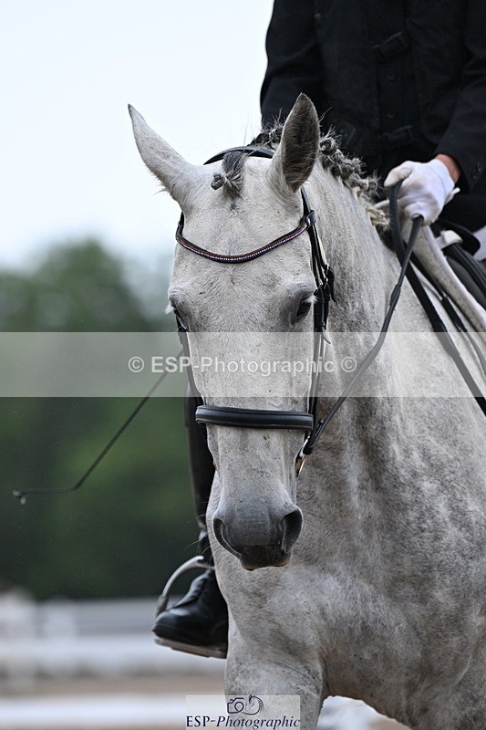 250705-150730-02027 - P3 Sections BDP3SNR, BDP3JNR 12.46 to 13.35