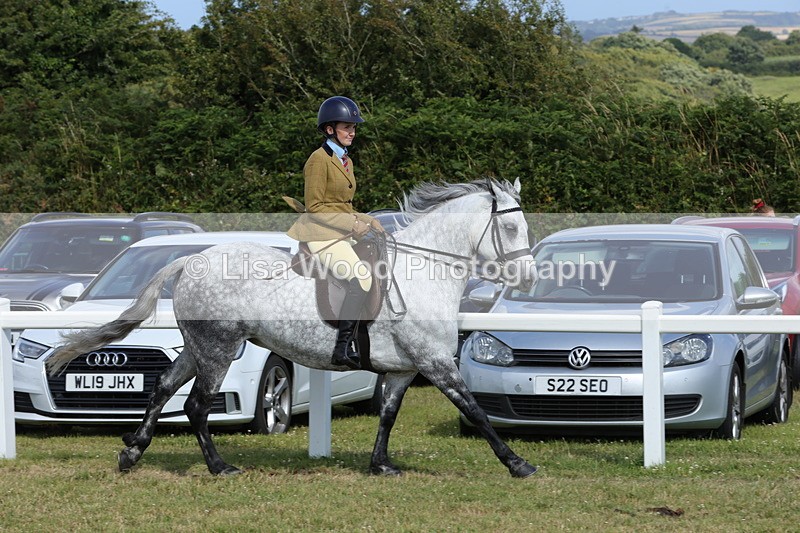 1X9A5851 - Class 41:. NPS New Forest & Connemara
