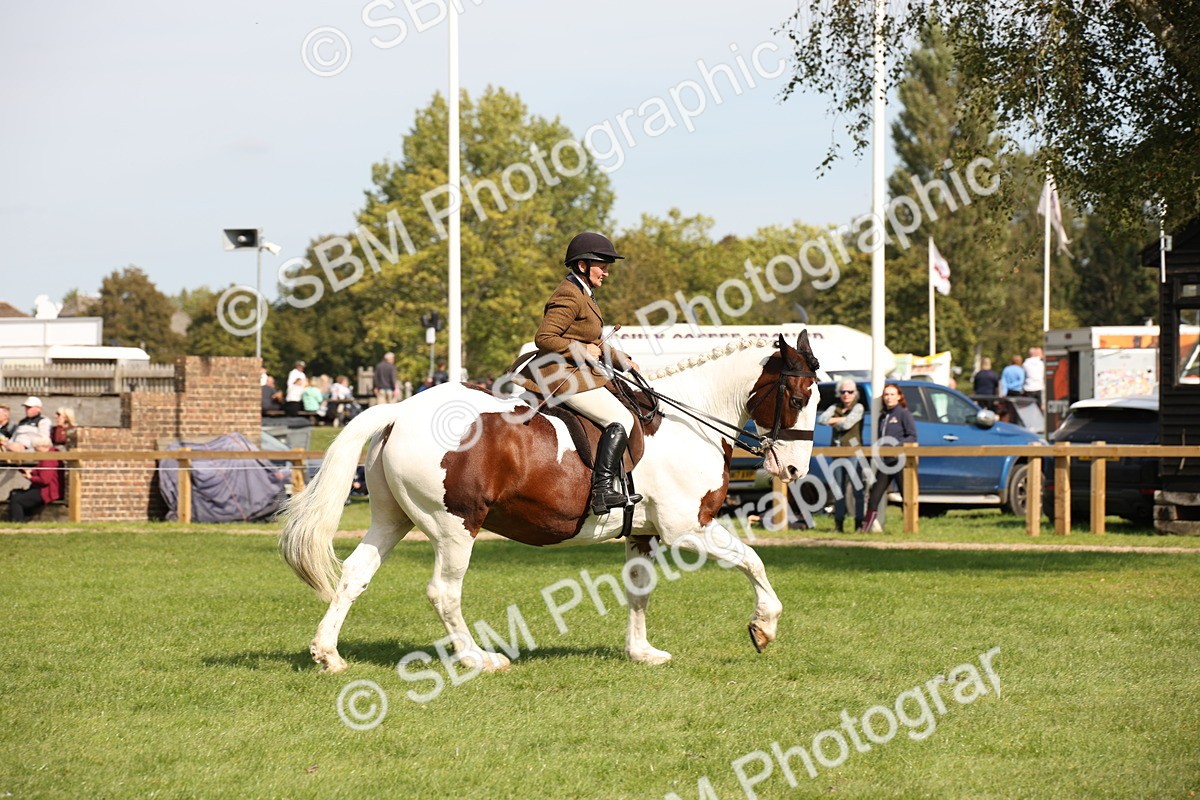 SBM_70120 - S65 - Piebald & Skewbald Horse Ridden