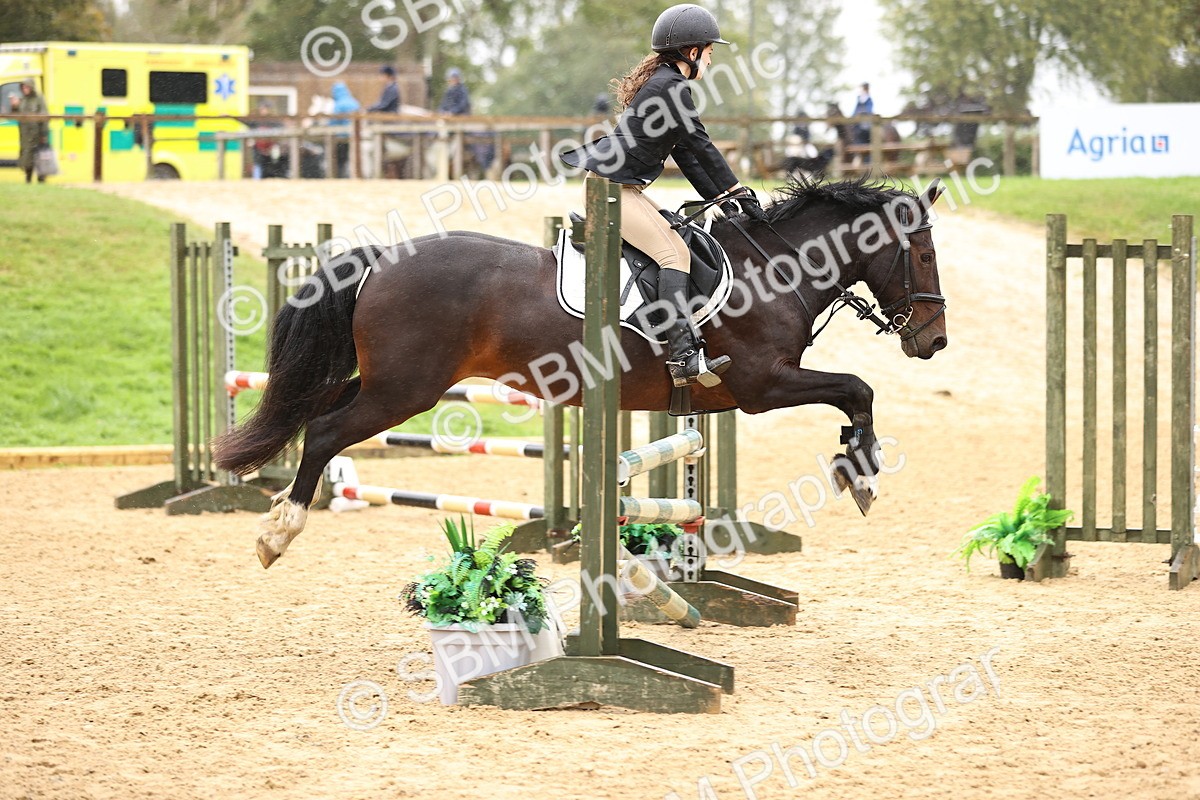 SBM_69988 - Supreme Championship 80cm 85cm