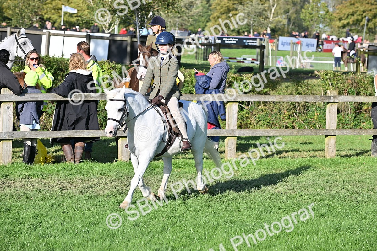 SBM_53037 - S23 - First Ridden Mountain & Moorland Pony