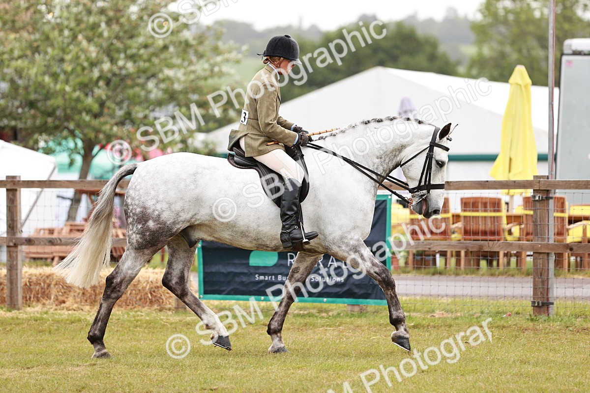 SBM_10747 - Class 81-84 - RIHS Ridden hunters Inc Ladies Hunter