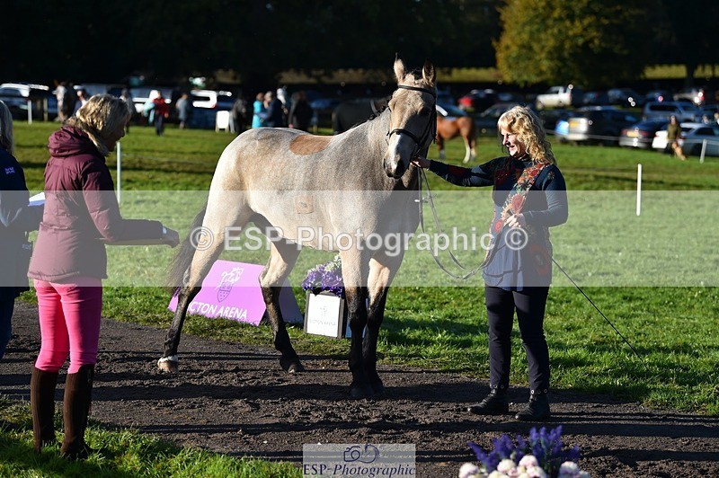 231022-093506-21894 - 471-LISCARROW.SHILOH-Justine.Walker-TrotUp+SJ