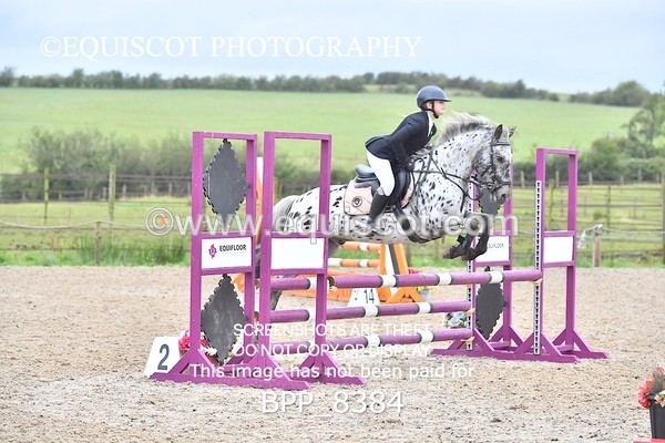 BPP_8384 - CLASS 3 Pony BritiNovice / 0.80m Open