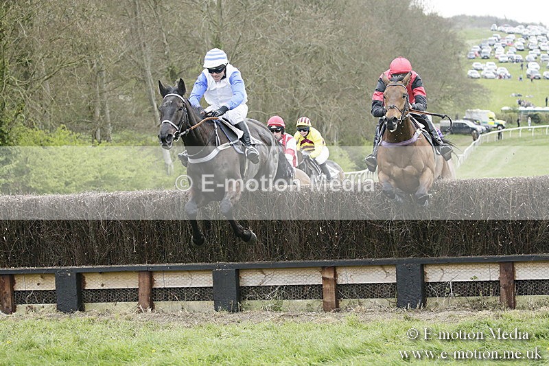 PtP 170417 449 - Old Berks Point-to-Point Lockinge 17/04/17