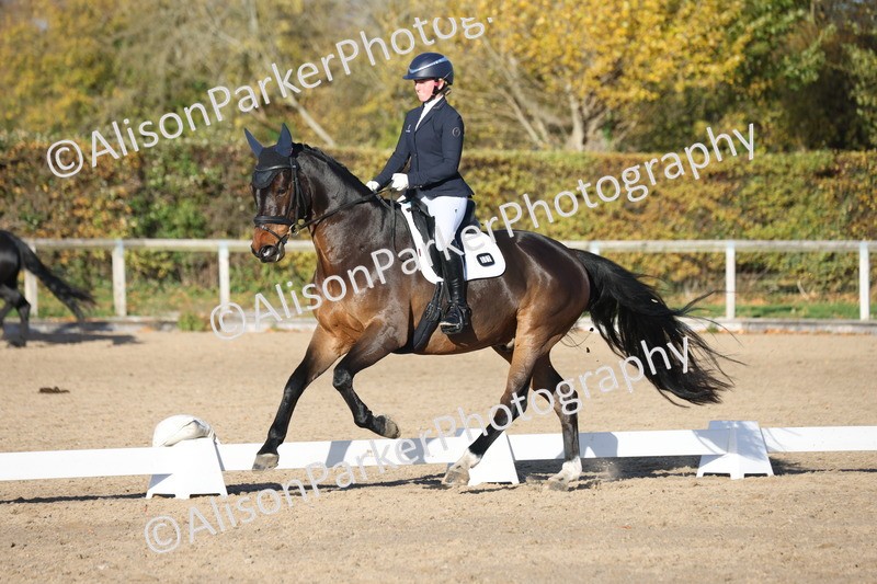 20251102-1215 - Class 7 - Medium 5