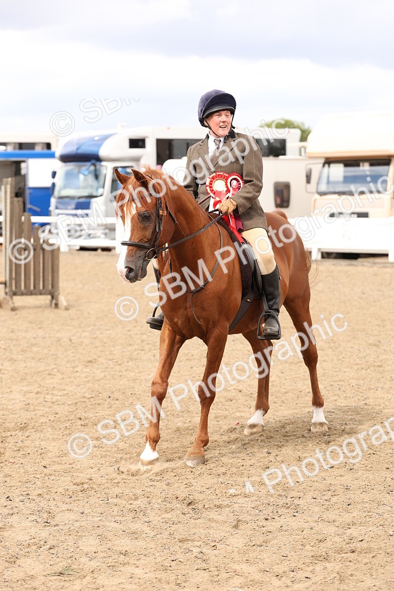 SBM_05242 - Class 56b -  Style & Performance - 50cm (20+)