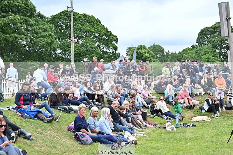 250524A-142323-12495 - Western Counties Crowds