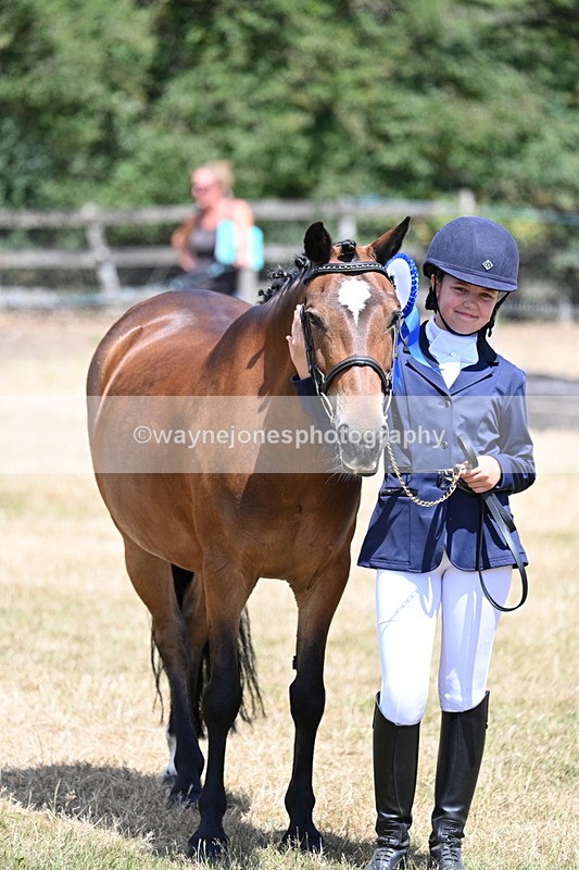 WJ7_2250 - Class 5 Most Handsome Gelding (up to 14.2hh) in hand