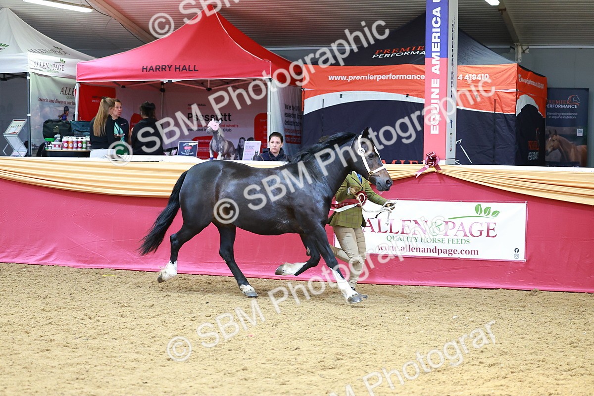 SBM_04372 - Class 9R - IH Pre-Vet