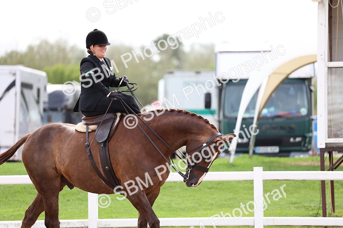 SBM_03445 - Class 24 - SSA Concours d'elegance (any age)