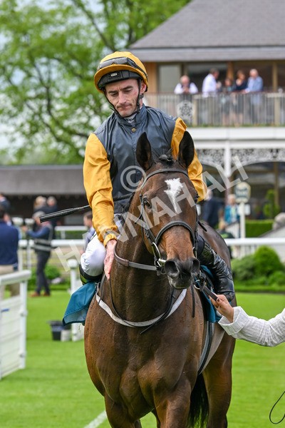 150524-Race 6-Shadow Army-4622 - Race 6 4.45pm British Stallion Studs EBF Novice Stakes