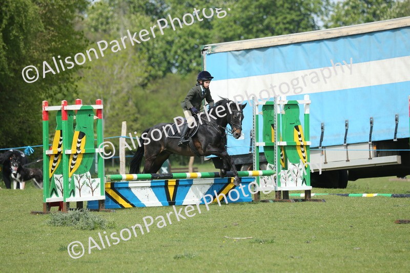 20260426-1756 - Class 14 - Novice 60cm