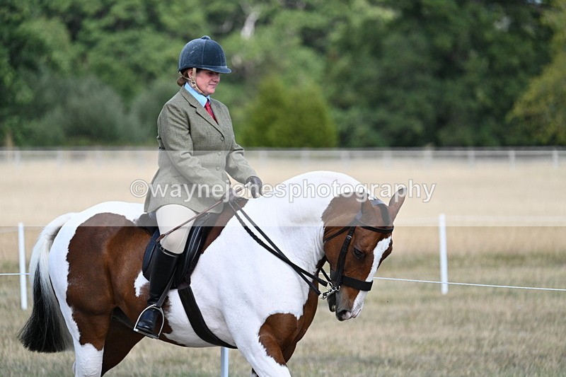 WJ7_6699 - Class 14 Ridden Coloured