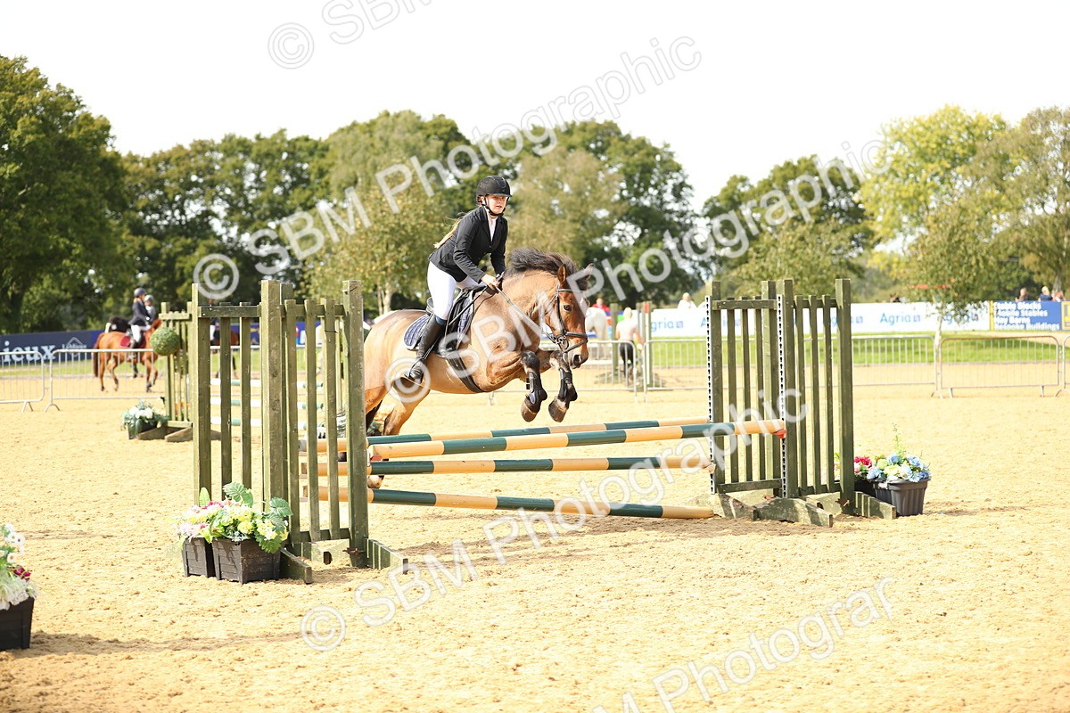 SBM_66199 - J17 - Junior Pony 80cm Championship