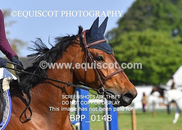 BPP_0148 - CLASS 1 Senior Newcomers/ 1.10m Open