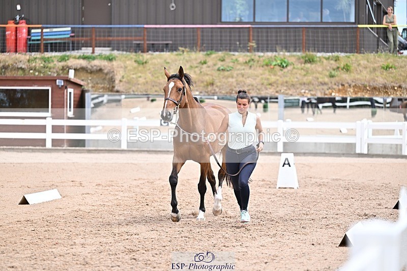 250716-131908-00431 - Trot Up 12.30 to 1.30