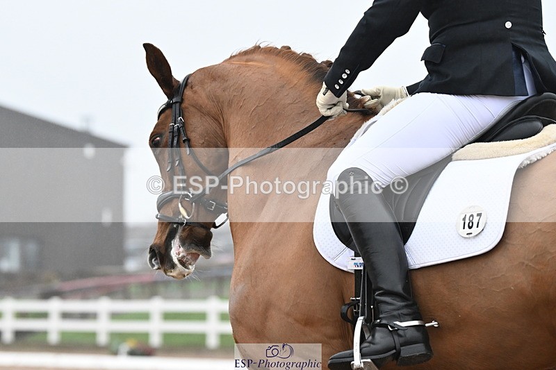 240217A-121213-02557 - 187-Victoria.Powell-W.W.Wilbur.Mac