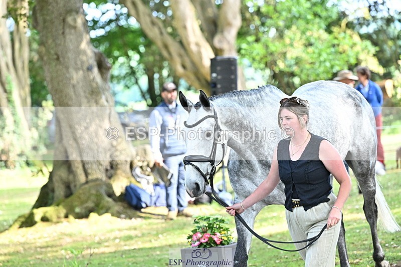 250521A-170032-01465 - C-278-Harriet.Wright-MBF.UP.NORTH