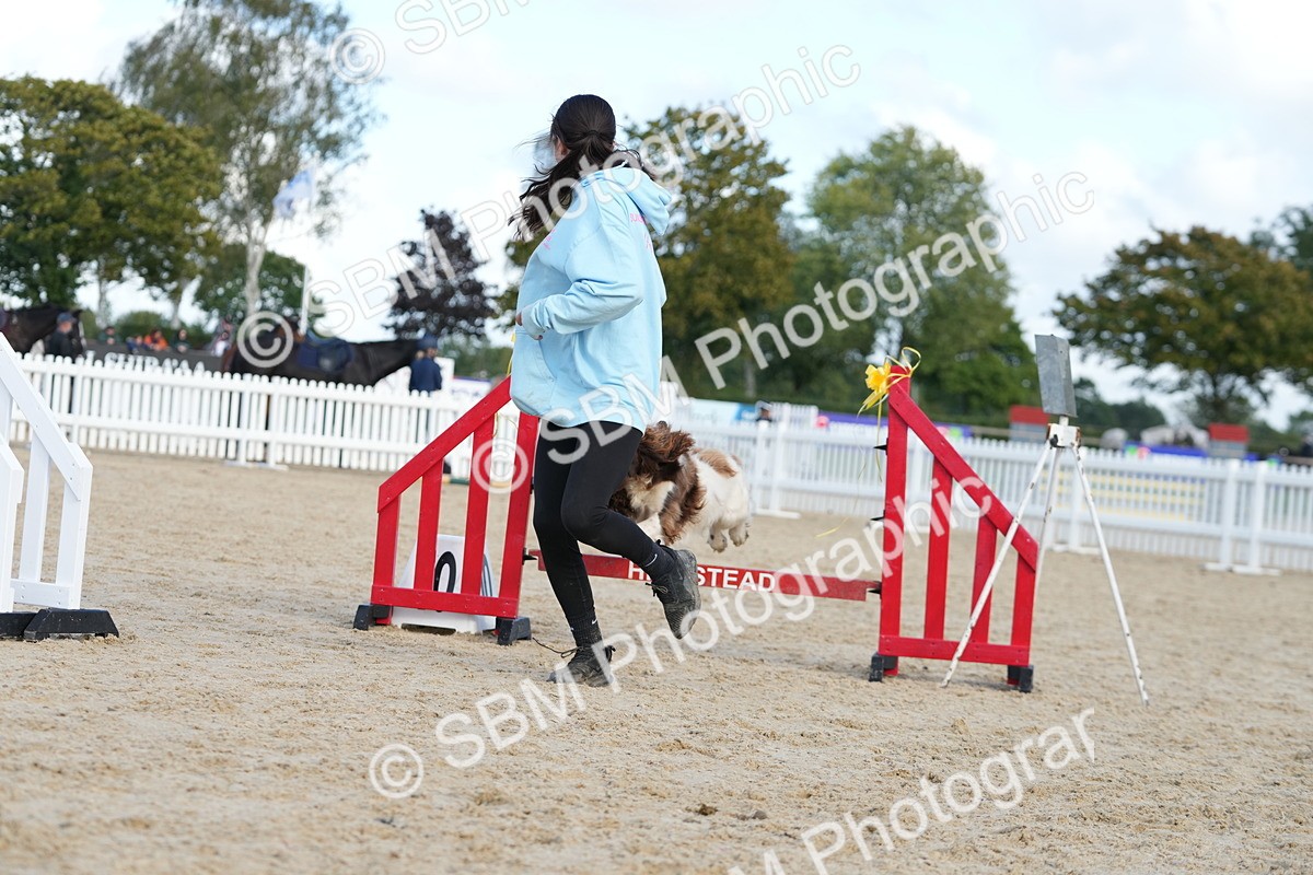 SBM_29155 - J43 - Horse & Hound Open 50cm