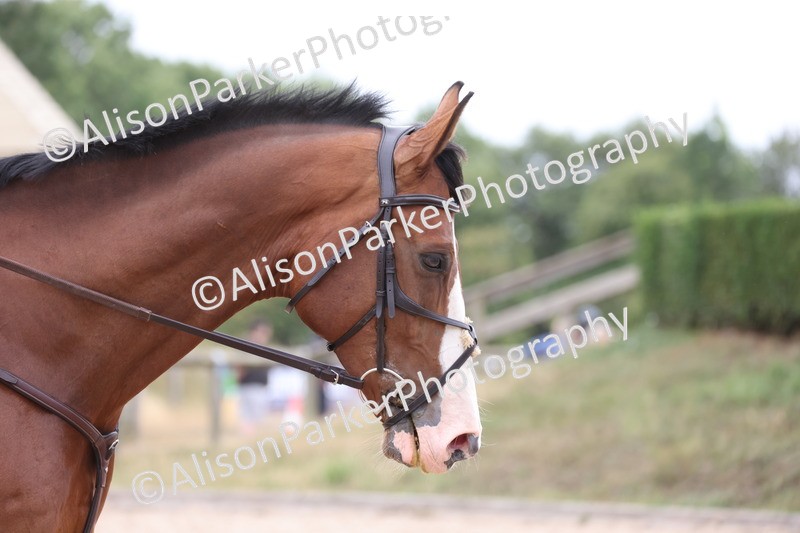 20250727-1628 - Class 5 - 80cm