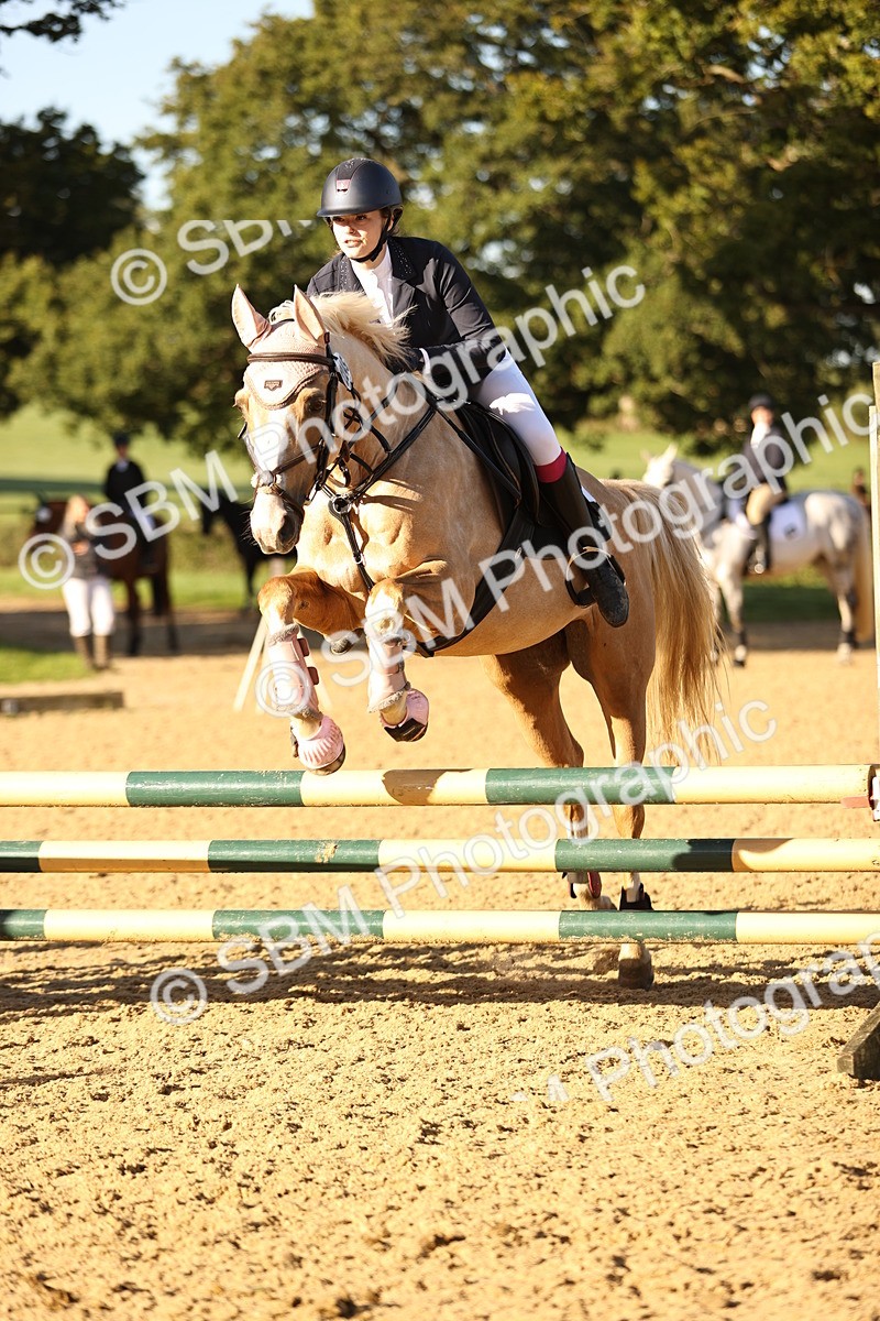 SBM_34600 - J38 - Senior 80cm Championship