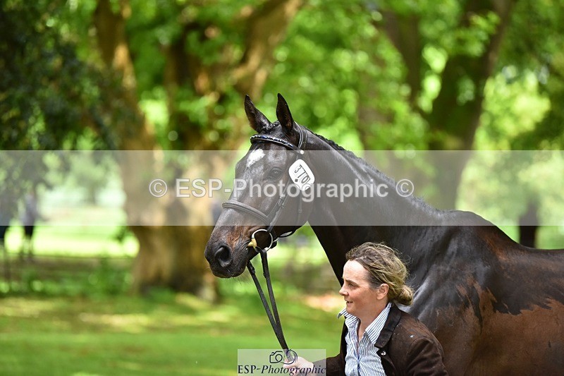 240522-153852-00498 - 370-STORM_IN_DECEMBER-Claire_Fielding