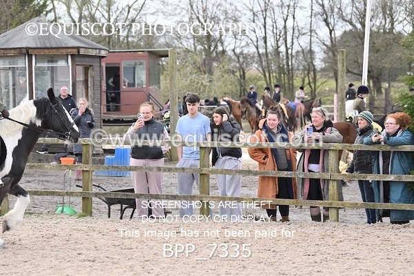 BPP_7335 - RING 1  (RIDDEN HORSES / IN HAND / VETERAN ETC)