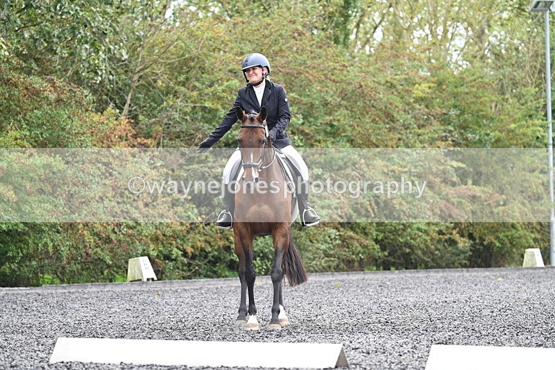 WJ7_3918 - Time 11:04 to 11:38