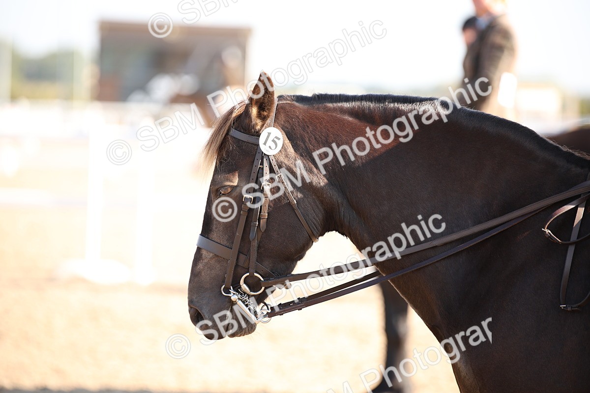 SBM_00717 - Class 14 Ridden M&M Wildcard