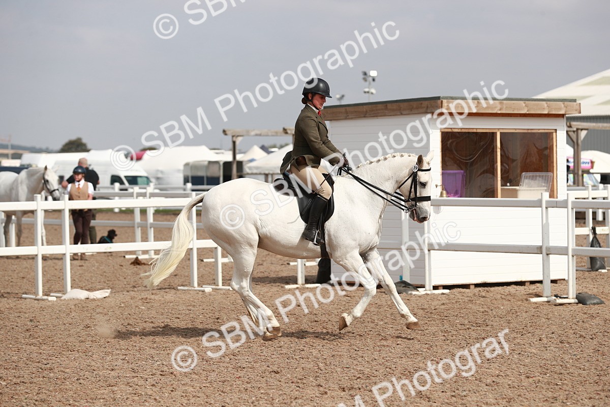 SBM_14834 - Class 212 Ridden Hunter - Small