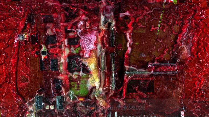 EXCHANGE XXV - EXCHANGE 2021