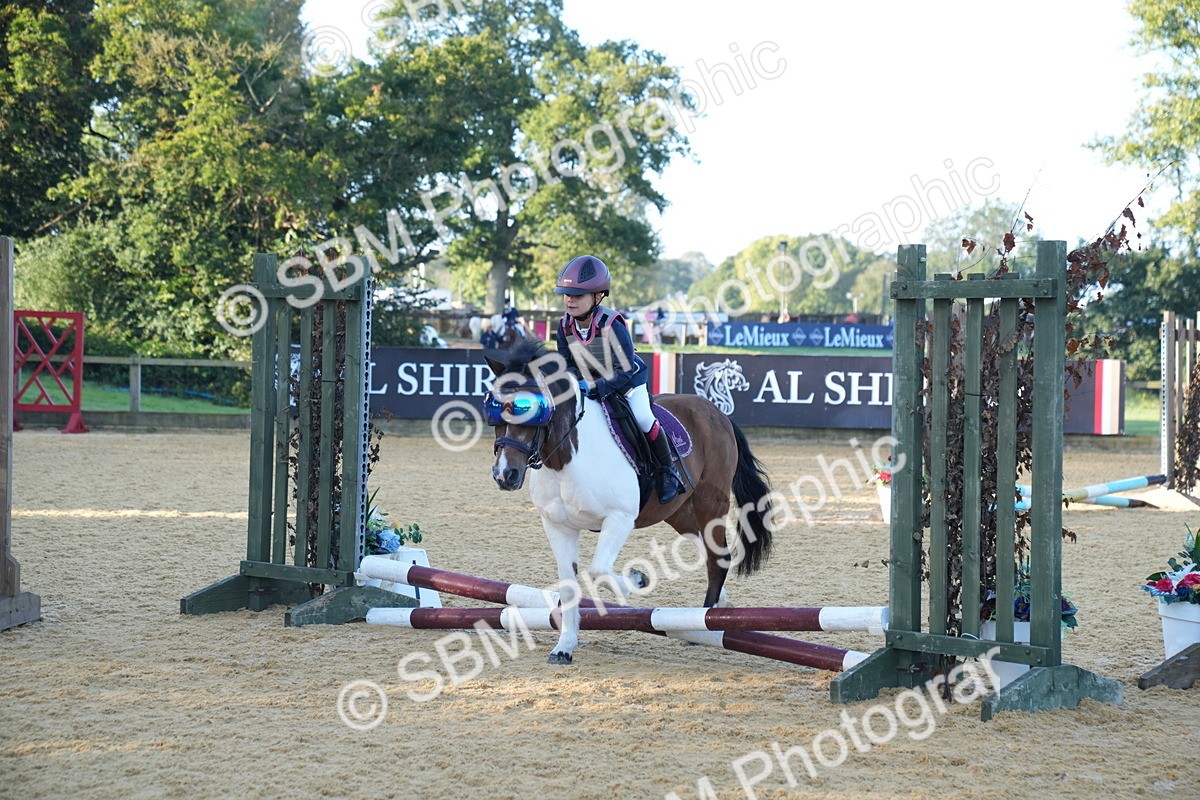 SBM_58956 - J63 - Minis Clear Round 30cm 40cm