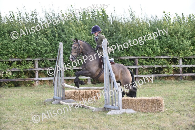 20250831-3962 - Class 12 - Working Hunter Pony 14.2hh and Under
