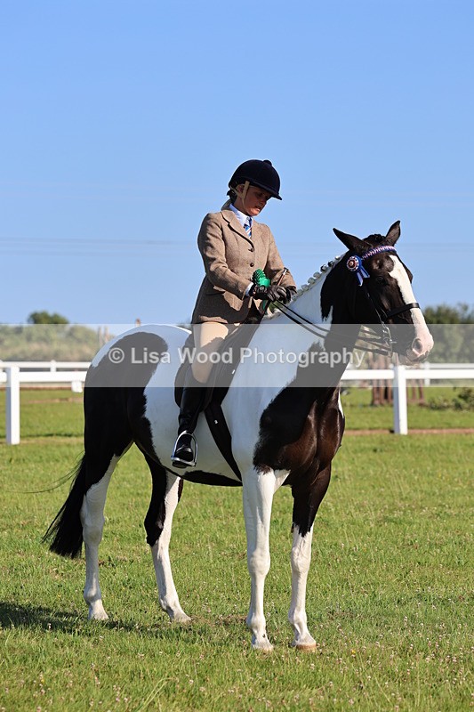 IMG_1347 - Class 27: Ridden Plaited Coloured Horse