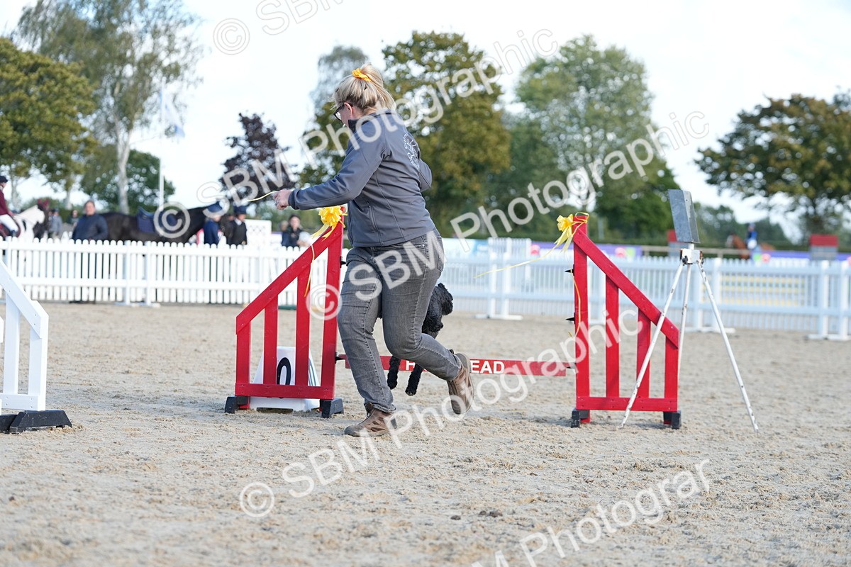 SBM_29008 - J43 - Horse & Hound Open 50cm