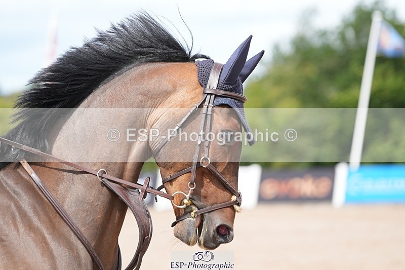 250731-115800-01570 - Cls 09  95cm Nat Am Qual