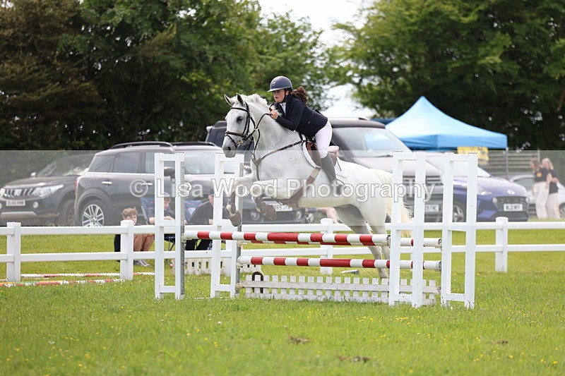 3E7A1528 - Class 13: Senior British Novice/90cm open