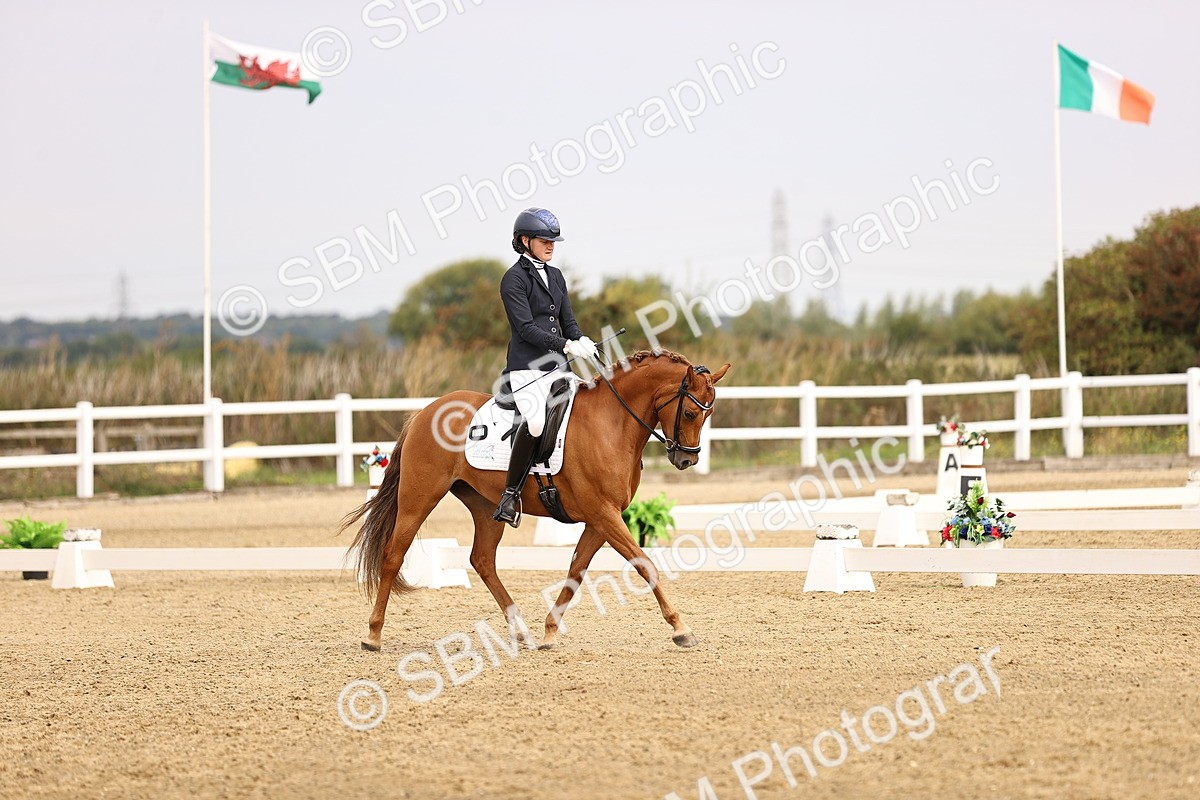 SBM_011689 - Class 1 - Medium 5