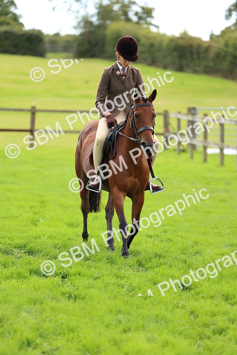 SBM_45391 - S33 - Working Hunter Pony