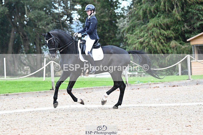 231110-144351-02013 - Cls 8 Medium 75Q