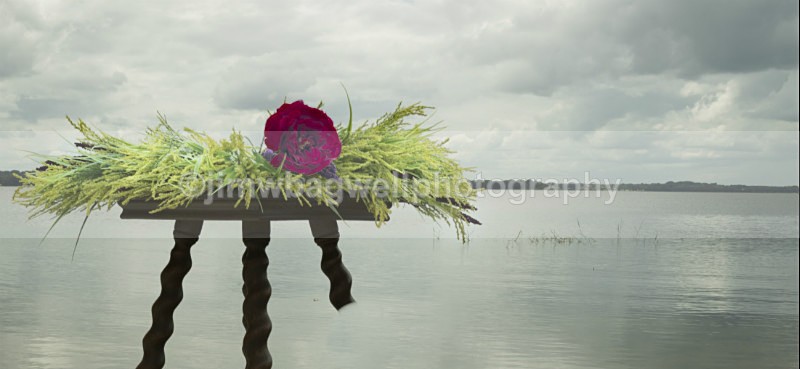 A Rose And Heather - The World Around Me