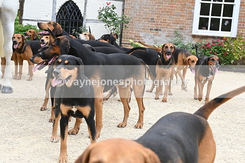 WJ6_3565 - Berks & Bucks - The Old farmhouse - Hound Exercise 20-08-25