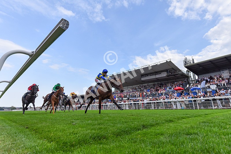 240825-Race 6-Dr Rio-0367 - Race 6