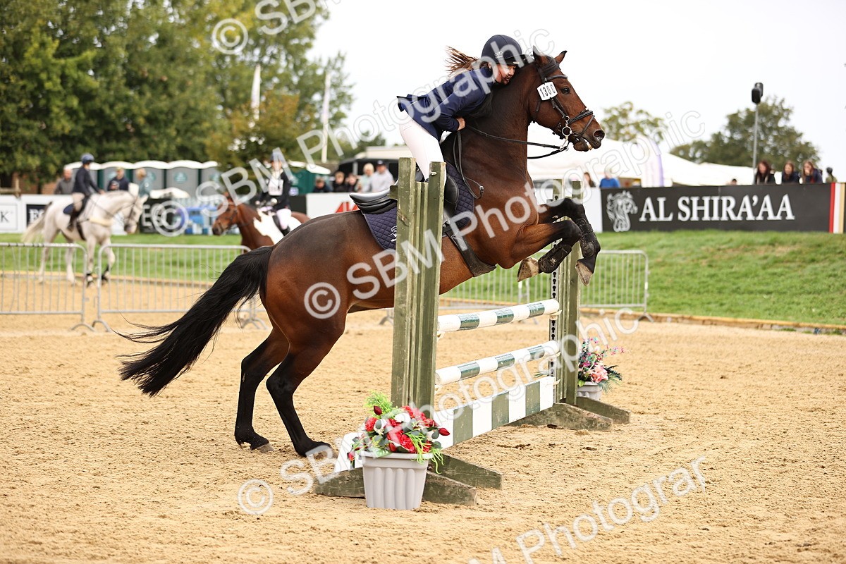 SBM_58511 - J41 - Grand Tour Horse & Pony 95cm