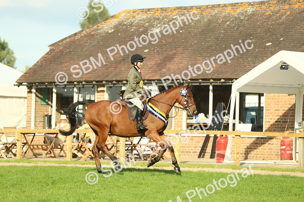 SBM_52338 - Working Hunter Supreme Championship