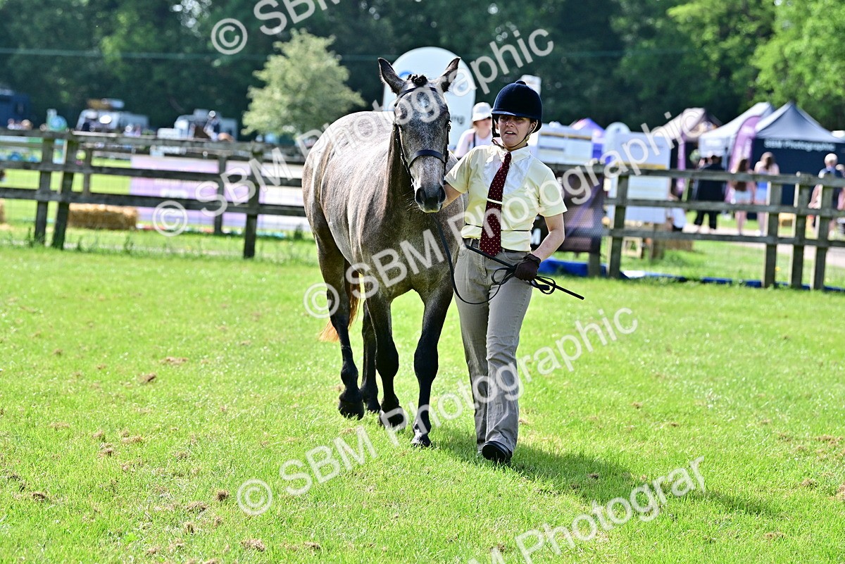 SBM_03307 - Class 50 - 54 Light Horse Breeding